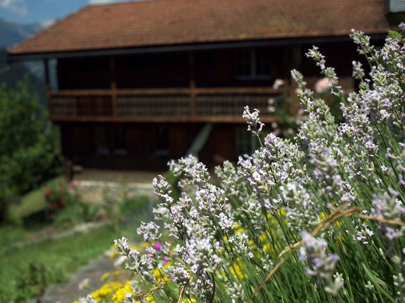 22477551-Ferienhaus-7-Buchen im Prättigau-800x600-1