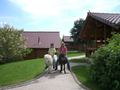 Shettis und Reiter auf dem Ferienhof Pfeiffer im Odenwald