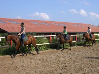 Reiten auf dem Ferienhof Pfeiffer im Odenwald