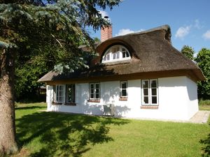 Ferienhaus für 4 Personen (75 m&sup2;) in Buchholz