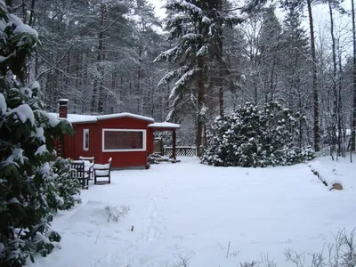 Traum Waldhaus im Winter