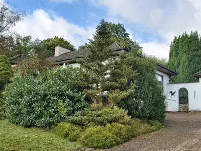 Ferienhaus_Ansichten (1)