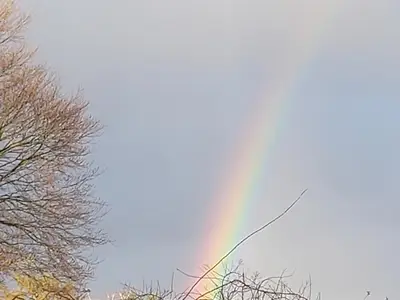 Glücksbringer (1)