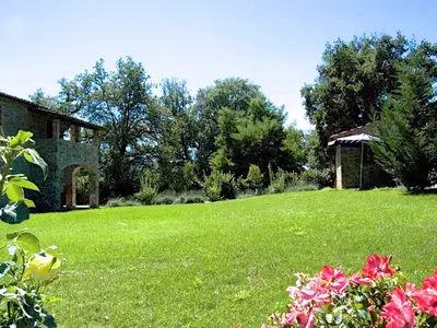 GardenSummer
