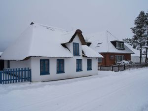 18306796-Ferienhaus-4-Büsum-300x225-1