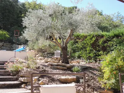 GardenSummer