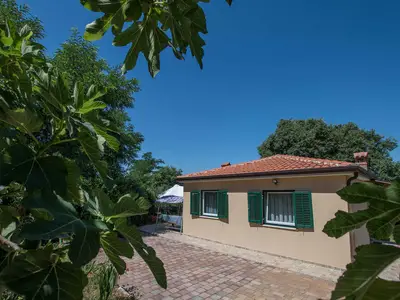 Ferienhaus für 5 Personen (60 m²) in Buje 6/10