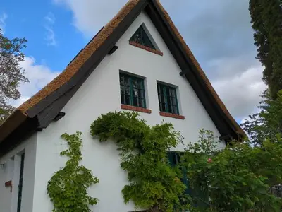 Ferienhaus für 4 Personen (70 m²) in Bülow 2/10