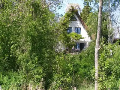 Ferienhaus für 4 Personen (70 m²) in Bülow 5/10