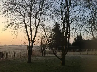 Ferienhaus für 5 Personen (70 m²) in Bunde 10/10