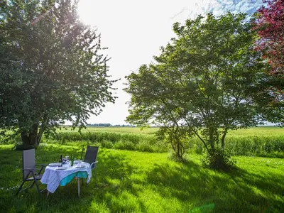 Ferienhaus für 6 Personen (130 m²) in Bunde 4/10