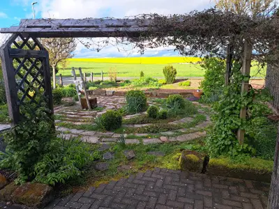 Bild 7