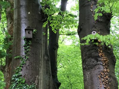 Ferienhaus für 4 Personen (85 m²) in Burg (Dithmarschen) 6/10