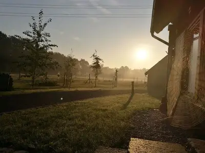 Ferienhaus für 3 Personen (100 m²) in Burg (Spreewald) 10/10