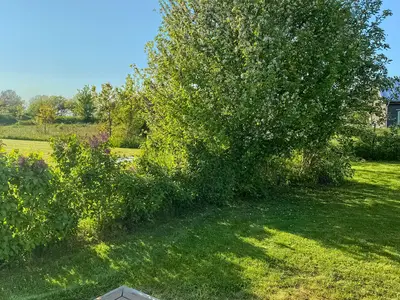 outside