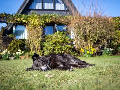 Ferienhaus für 4 Personen (70 m²) in Butjadingen-Burhave 6/10