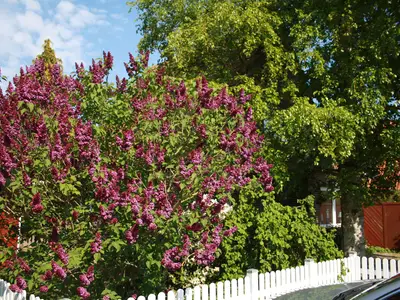 Ferienhaus für 5 Personen (87 m²) in Butjadingen-Sillens 4/10