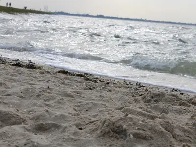 Ferienhaus für 5 Personen (68 m²) in Butjadingen-Sillens 9/10