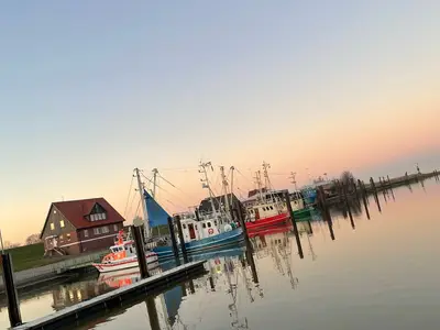 Ferienhaus für 6 Personen (135 m²) in Butjadingen-Burhave 10/10