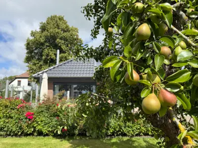 Ferienhaus für 5 Personen (180 m²) in Butjadingen-Sillens 10/10