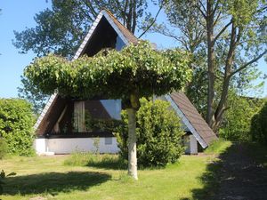 23696054-Ferienhaus-4-Butjadingen-Burhave-300x225-1