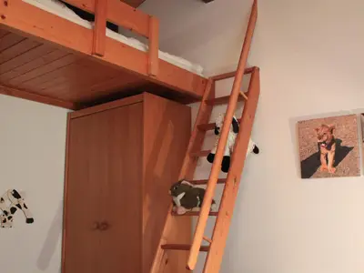 Zweibettzimmer mit Hochbett