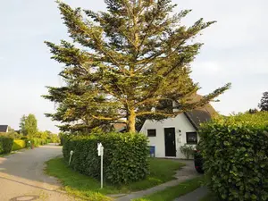 Ferienhaus für 7 Personen (70 m²) in Butjadingen-Sillens