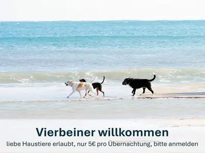Ferienhaus für 7 Personen (91 m²) in Butjadingen-Sillens 2/10