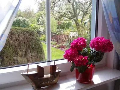 Ausblick aus dem Fenster