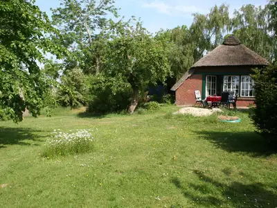 Blick über die Wiesen_Meiners