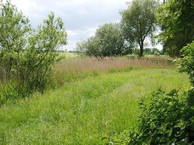 Grundstück hinter dem Garten