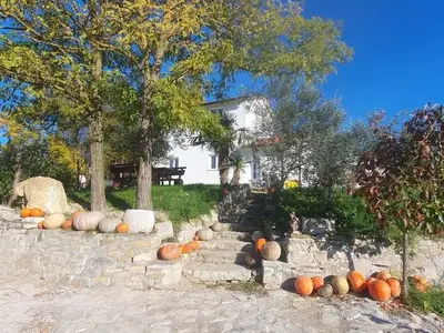 Ferienhaus für 6 Personen in Buzet 1/10