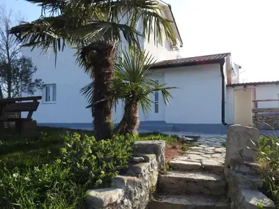 Ferienhaus für 6 Personen in Buzet 3/10