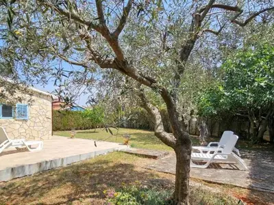 Ferienhaus für 4 Personen (80 m²) in Bužinija 7/10