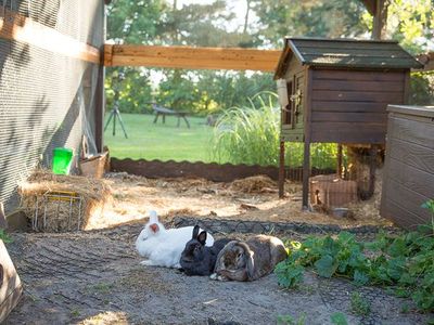 Ferienhaus für 5 Personen (100 m²) in Byhleguhre 4/10