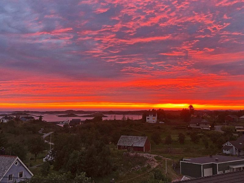 23523620-Ferienhaus-6-Byrknesøy-800x600-0