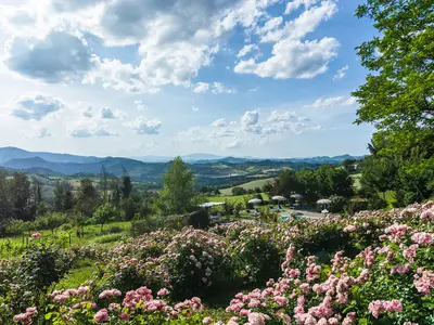 ViewSummer