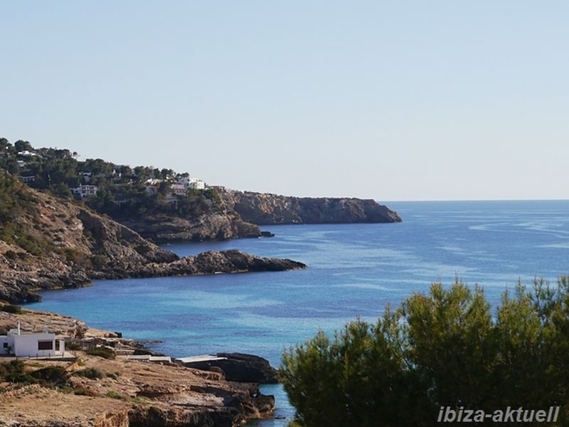 18401119-Ferienhaus-11-Cala Tarida-800x600-2