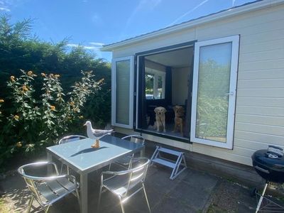 Ferienhaus für 4 Personen (40 m²) in Callantsoog 5/10