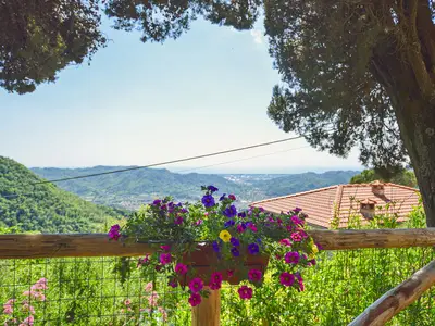view-from-room