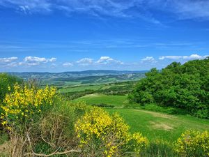 24029599-Ferienhaus-8-Campiglia D'Orcia-300x225-5