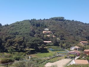 23913514-Ferienhaus-7-Campo nell'Elba-300x225-0