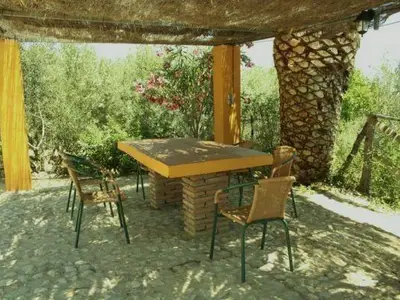 Bild 7