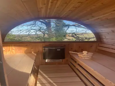 Wellness