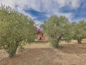 Ferienhaus für 4 Personen (55 m²) in Capoliveri