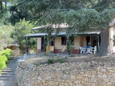 Villa Cedro #extern