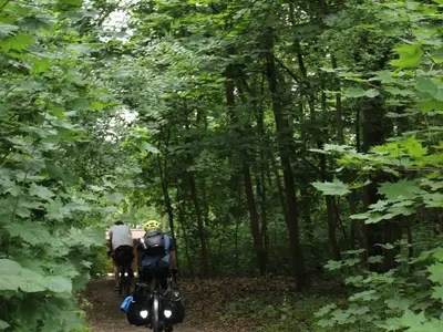 Ferienhaus für 4 Personen (80 m²) in Schwielowsee 10/10