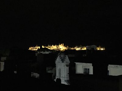 La Cité de nuit depuis la terrasse