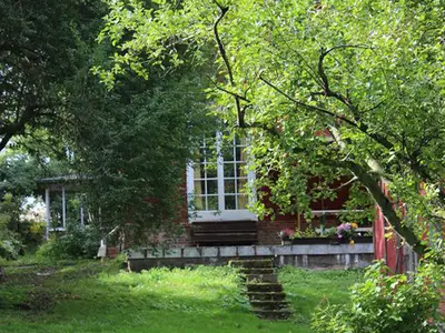 Ferienhaus für 6 Personen (100 m²) in Danneborth 10/10