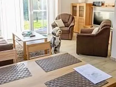 Ferienhaus für 4 Personen (65 m²) in Carolinensiel 5/10